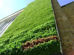 green_facade_2.jpg